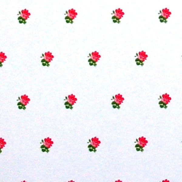 画像3: "Rebecca"　Pink/White (3)