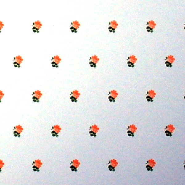 画像2: "Rebecca"　Peach/White (2)