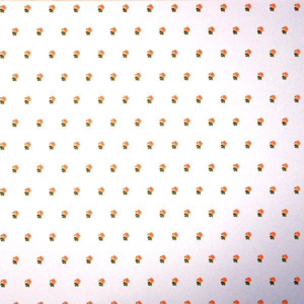 画像3: "Rebecca"　Peach/White (3)