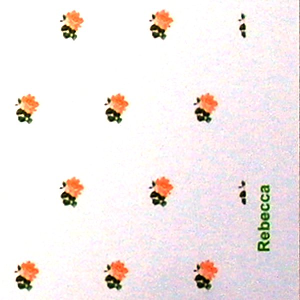 画像4: "Rebecca"　Peach/White (4)