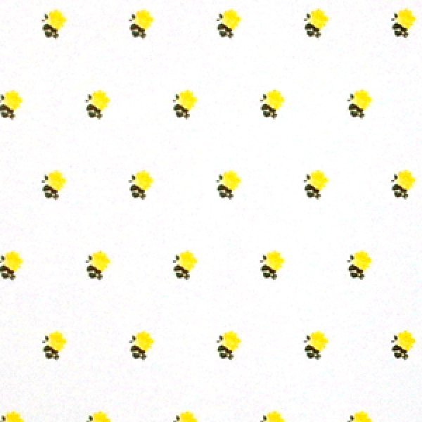 画像2: "Rebecca"　Yellow/White (2)