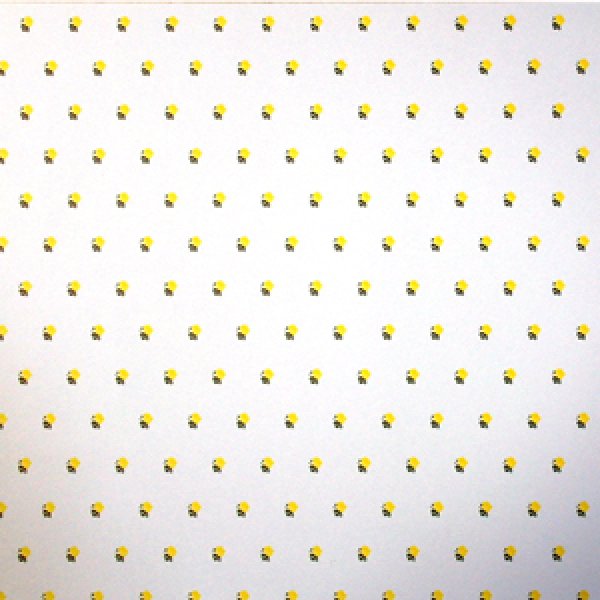 画像3: "Rebecca"　Yellow/White (3)