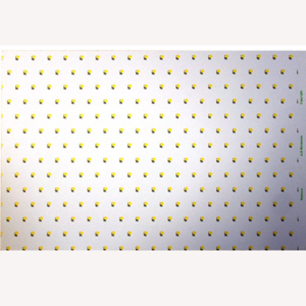 画像5: "Rebecca"　Yellow/White (5)