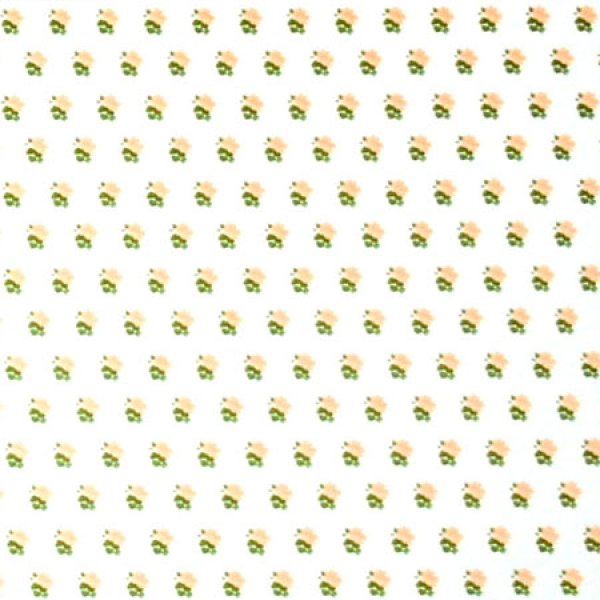 画像2: ALEXANDRA Peach (2)