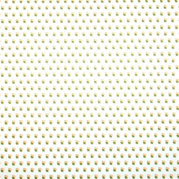 画像3: ALEXANDRA Peach (3)