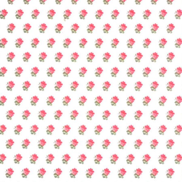 画像2: ALEXANDRA Pink/White (2)