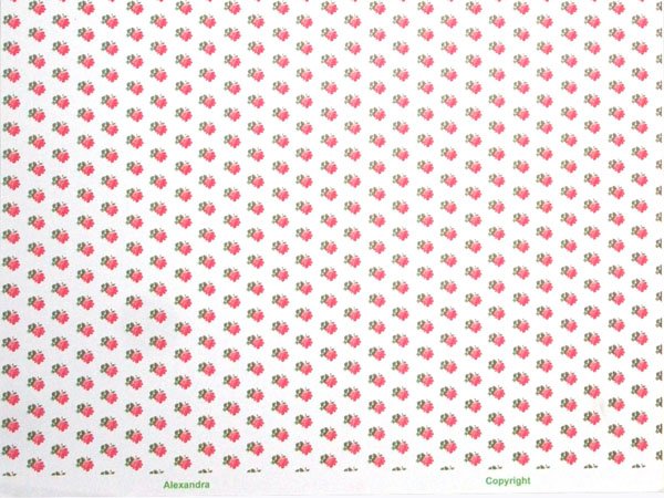 画像4: ALEXANDRA Pink/White (4)