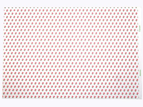 画像5: ALEXANDRA Pink/White (5)