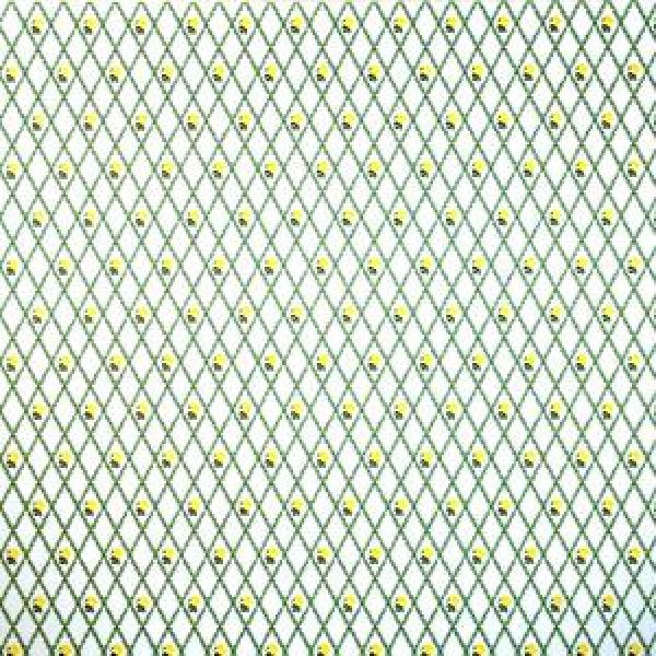 画像3: "Jennifer"　Yellow/White (3)