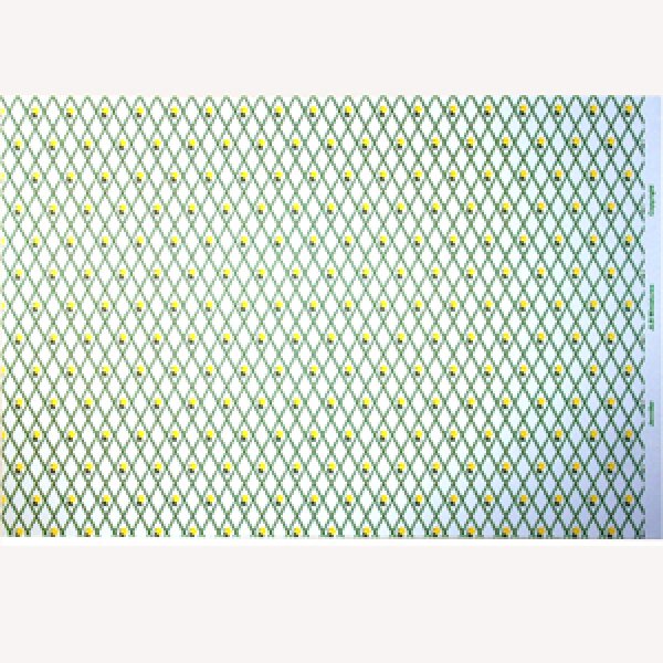 画像5: "Jennifer"　Yellow/White (5)