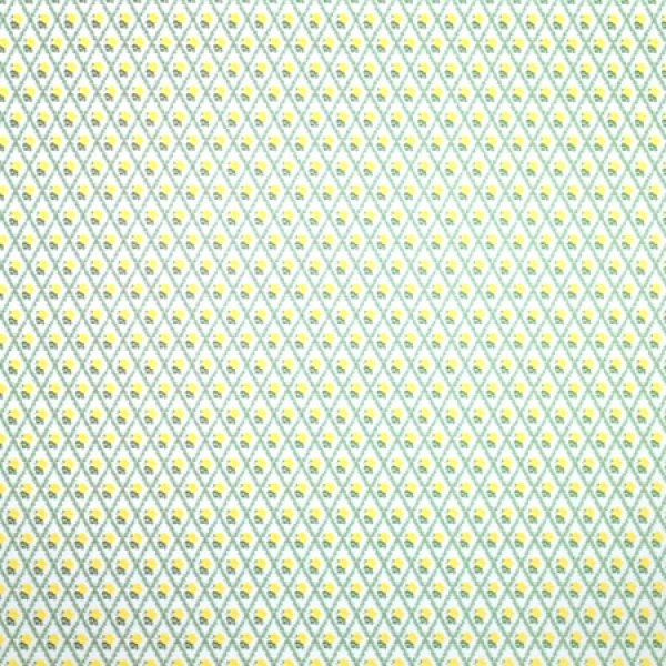 画像3: RACHEL Yellow/White (3)