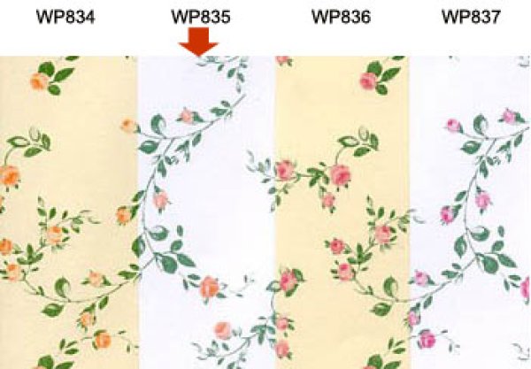 画像2: SISSINGHURST　Apricot/White (2)