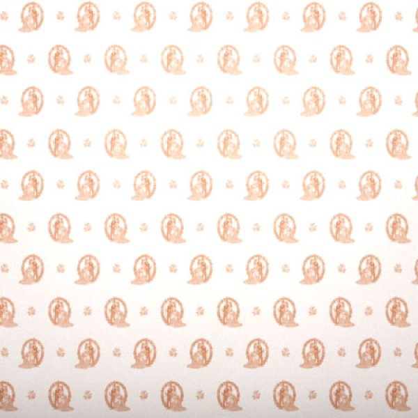 画像3: ROMANCE Fawn (3)