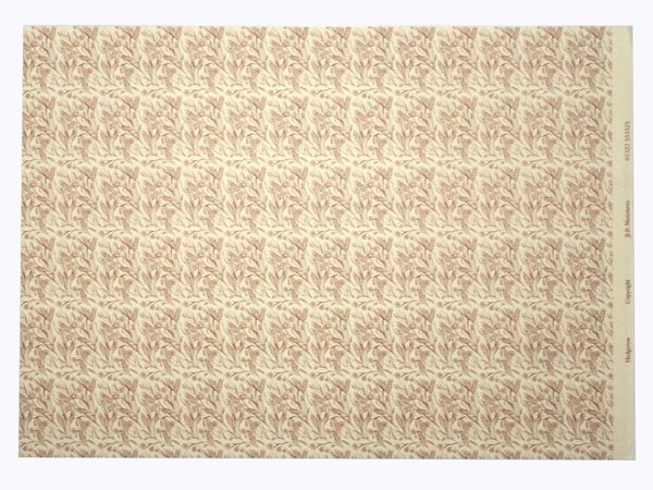 画像4: HEDGEROW Brown (4)