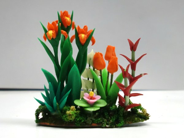 画像2: アイリス＆チューリップ　庭植え (2)