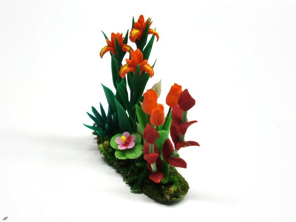 画像4: アイリス＆チューリップ　庭植え (4)