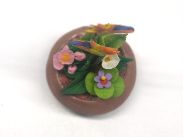 画像3: 寄せ植え　鉢 (3)