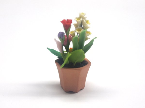 画像5: フラワー・アレンジメント　鉢植え (5)