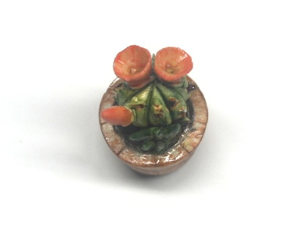 画像2: サボテン (2)