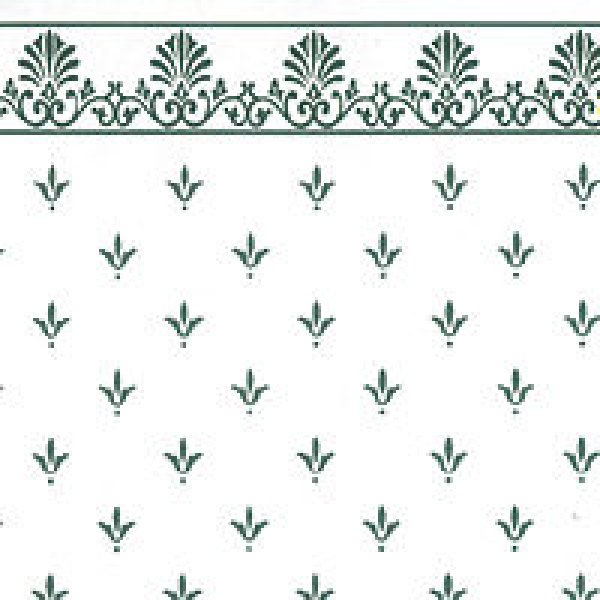 画像1: REGA  Green/White (1)